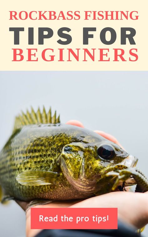 Surf Fishing Tips, Fishing Aesthetic, Fishing Florida, Ice Fishing Tips, Ice Fishing Gear, Fishing Hacks, Fishing For Beginners, Fly Fishing Tips, Bass Fishing Tips