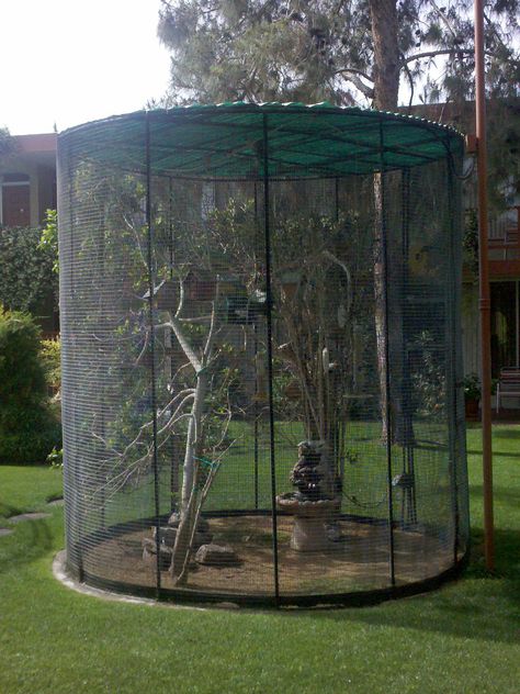 Awds And Ends: Image Cage Ideas For Birds, Bird Cage In Garden, Bird Cage Ideas Outdoor, Birds Cage Ideas Outdoor, Bird Avaries, Bird Aviary Ideas Outdoor, Aviary Ideas Outdoor, Bird Cage Outdoor, Outdoor Bird Cage