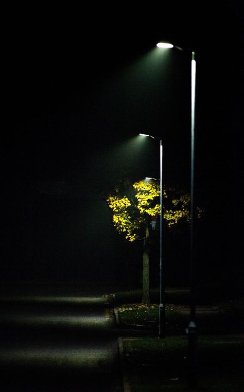 streetlight, mist, road light, scene, autumn, outdoor, night, lights | Piqsels Night Street Photography, Road Light, Iphone Wallpaper Lights, Light Wallpaper, Night Street, Zero Wallpaper, Easter Wallpaper, Silhouette Painting, Iphone Wallpaper Hd Nature