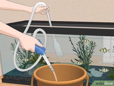 How To Clean Aquarium Glass Tanks, How To Keep Fish Tank Water Clear, How To Clean A Fish Tank Aquarium, How To Clean A Fish Tank, Cleaning Fish Tank, Self Cleaning Fish Tank, Big Fish Tanks, Fish Tank Gravel, Large Fish Tanks