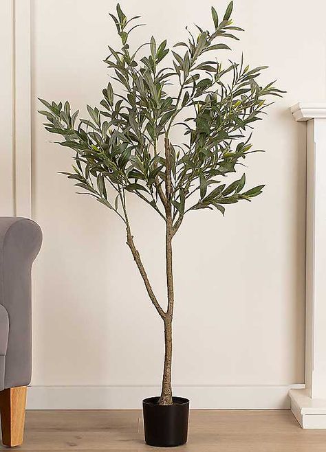 This beautiful olive tree has a true Mediterranean feel. With its soft green leaves and realistic trunk it would look stunning either side of a porch or covered front door. A faux tree is a superb option for allergy sufferers and those with pets, replicating the look of a olive tree without any need for green fingers. Why not pair this faux tree with a planter of your choice to create a unique look in your home. This tree is recommended for indoor use only.Please note: Product will arrive in a slim box and will require a lot of teasing out to manipulate branches and/or leaves into place.Polyester & plasticArtificial treeBlack potSuitable for indoor use onlyWipe clean with a soft clothPot Dims: D12 x H11cm Indoor Fake Tree, Indoor Olive Tree, Indoor Tree, Fake Trees, Extension Ideas, Faux Tree, Living Room Accessories, Kitchen Extension, Olive Branch