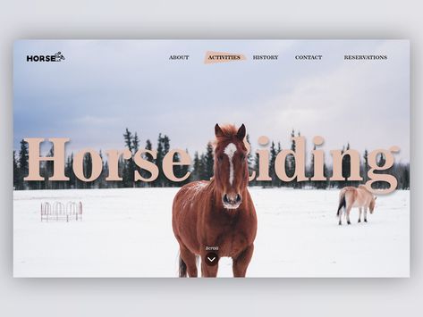 Horse Riding Landing Page by Samat Odedara ★ on Dribbble Riding Stables, Hobby Horse, Horse Stables, Horse Designs, Saint Charles, San Rafael, Landing Page Design, San Luis Obispo, Horse Girl