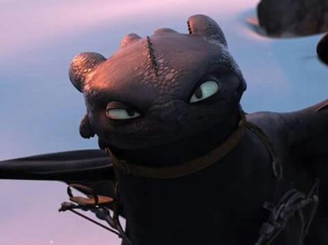 Angry toothless Baby Toothless, Dragon Gif, Httyd Toothless, Toothless Night Fury, Night Fury Dragon, Httyd Art, Toothless Dragon, Dragon Memes, Httyd Dragons