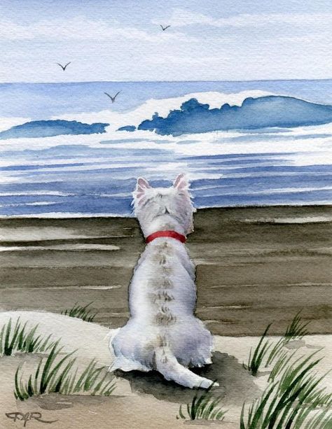 Dog Photography 'Tails With A Tale' Dog Photos And Art From  Past Till Now | David J. Rogers. American watercolourist | Facebook Bichon Frise Drawing, Contemporary Watercolor Art, Art Plage, Westie Puppies, Highland Terrier, Contemporary Watercolor, Highlands Terrier, 강아지 그림, Westie Dogs