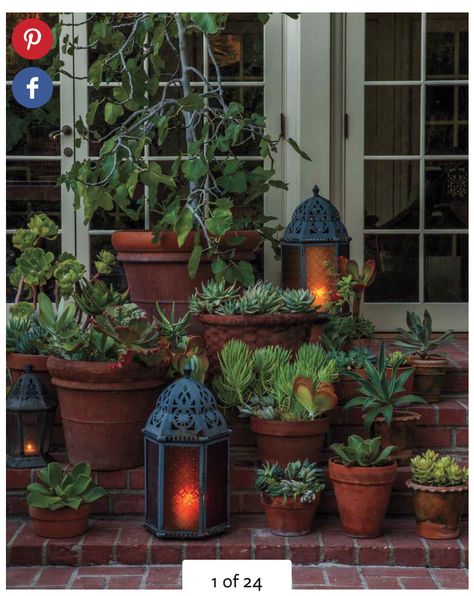 Moroccan Garden, Container Gardening Ideas, Cheap Backyard, Patio Pots, Decorated Flower Pots, Garden Containers, Vegetable Garden Design, Garden Boxes, Container Gardens