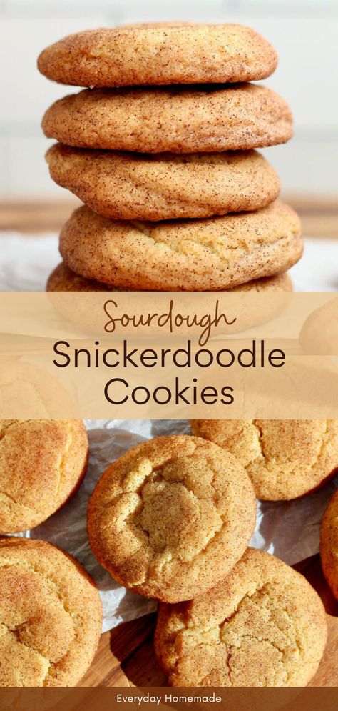 Sourdough Snickerdoodle Cookies Snickerdoodle Sourdough Cookies, Christmas Cookies Sourdough, Sourdough Ginger Snaps, Sourdough Snickerdoodle Cookies, Christmas Snickerdoodle Cookies, Sourdough Christmas Cookies, Christmas Sourdough Recipes, Sourdough Snickerdoodles, Sourdough Flavors