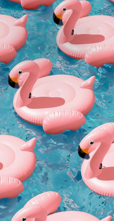 Pink Pool Floats, Summer Pool Floats, Palm Springs Party, Wedding Pool Party, Summer Wallpapers, Cut Out Art, Angel Drawing, Fruit Wallpaper, Mickey Mouse Wallpaper