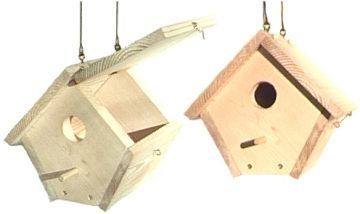 wren house plans | Wren bird house plans. Like the hinged roof for ... | home and garden Wren Bird House, Building Bird Houses, Birdhouse Plans, Bird House Plans Free, Wren House, Wren Bird, Homemade Bird Houses, Garden Birdhouses, Bird House Feeder