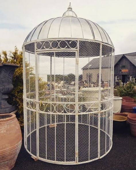 JardinandFurniture on Instagram: “Little aviary goes big 🤘 Looking for a fabulous home for the beloved birds? We got one for you! Presenting the -voliere- ❤ . . #volière…” Big Bird Cage, Fish Ponds Backyard, Pet Enclosures, Bird Cage Design, Cage Bird, Animal Garden, Bird Sanctuary, Pet Enclosure, Bird Aviary