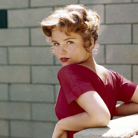 Tuesday Weld #tuesdayweld #actress #hollywood #birthday #film #cinema #movies #glamour #beauty… Tuesday Weld, Carol Lynley, Looking Over Shoulder, Seductive Pose, Classic Actresses, Vintage Models, Old Hollywood Glamour, Vintage Pinup, Silver Screen