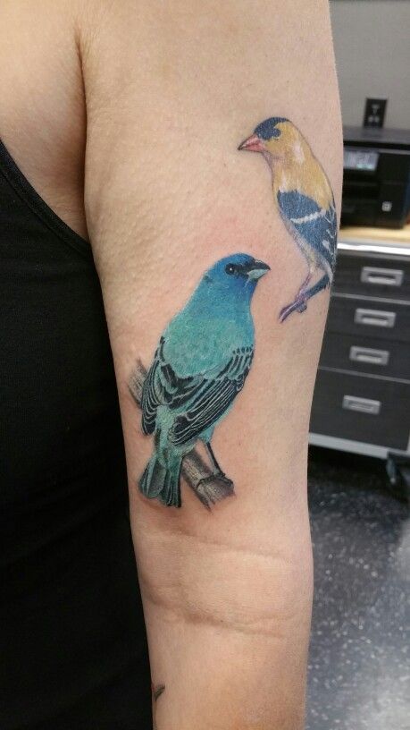 Indigo Bunting tattoo by Becky Ashcraft. Indigo Bunting Tattoo, Indigo Bunting, Tattoo Reference, Birds Tattoo, Tattoo You, Song Bird, Tattoo Art, Tattoos And Piercings, Style Board