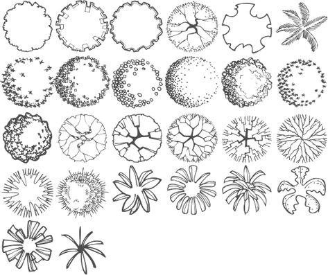 Architectural Trees, Sketch Landscape, Landscape Architecture Graphics, Sketch Architecture, Tree Sketch, Landscape Design Drawings, Landscape Architecture Drawing, Tree Plan, Tree Sketches