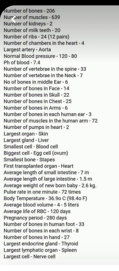 Limits Of The Human Body For Writers, Body Facts, Human Body Facts, The Human Body, Book Stuff, Writers, Random Stuff, Anatomy, Human Body