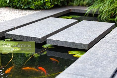 A detail shot of stepping stones over modern narrow garden pond with goldfish. Garden design by John Davies Landscape. Raised Garden Designs, Japanese Water Gardens, Garden Stream, Koi Pond Design, Goldfish Pond, Narrow Garden, Small Garden Landscape, Outdoor Ponds, Garden Water Feature