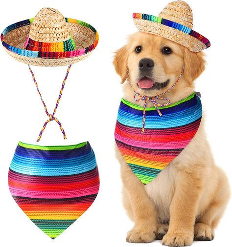 Mexican Dog Party, Dog Sombrero, Fiesta Costume, Cute Dog Toys, Sombrero Hat, Doggy Daycare, Mexican Hat, Fiesta Decorations, Dog Branding