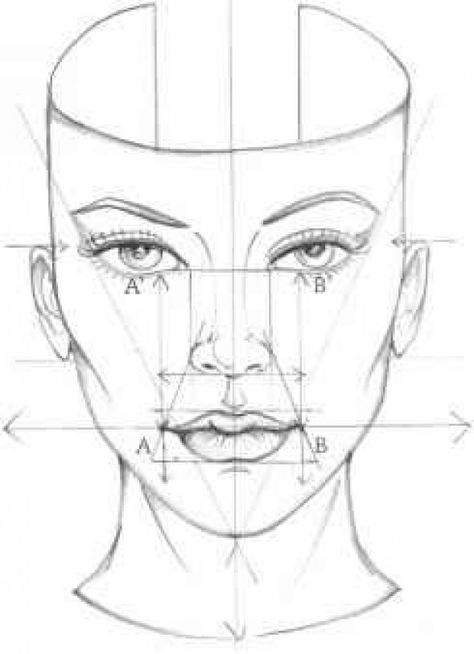 Face Mapping, 얼굴 드로잉, 얼굴 그리기, Face Sketch, Anatomy Drawing, Art Instructions, Drawing Lessons, A Drawing, Drawing Techniques