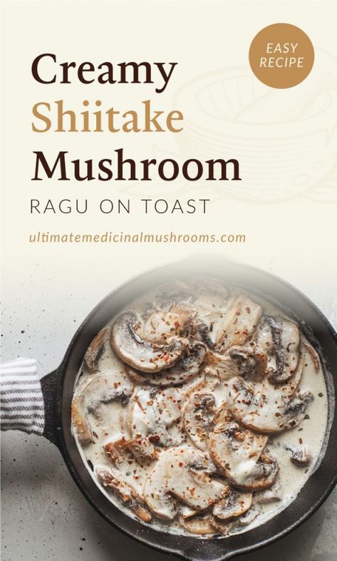 Shitake Mushroom Recipes, Shiitake Mushroom Recipes, Healthy Mushrooms, Shiitake Recipes, Healthy Mushroom Recipes, Mushroom Ragout, Filling Breakfast Recipes, Shitake Mushrooms, Gf Meals