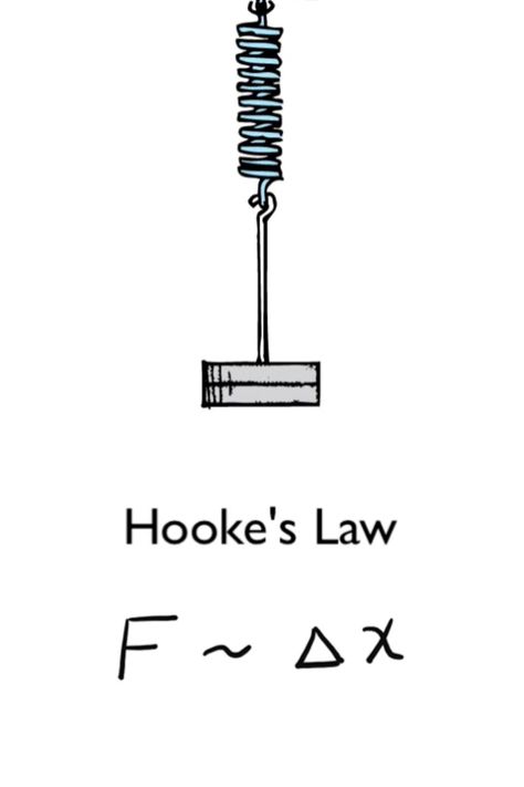 #Elasticity refers to how well a material returns to its original shape after a force has been applied.  #hookeslaw #athomelearning #athomephysics #learningfromhome #athomelearningresources #physics #conceptualacademy Elasticity Physics, A Force, Learning Resources, Physics, Force, Tech Company Logos, How To Apply