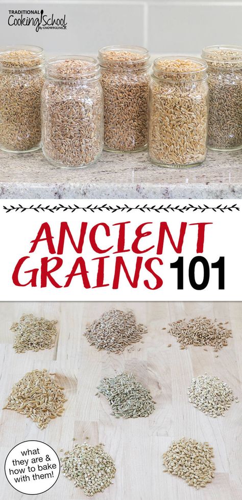 Whole Grain Baking, Ancient Bread Recipe, Growing Grains At Home, How To Make Whole Grain Bread, Ancient Grains Bread Recipe, How To Grow Wheat For Flour, Ancient Grain Bread Recipe, Kamut Recipes, Intact Whole Grains