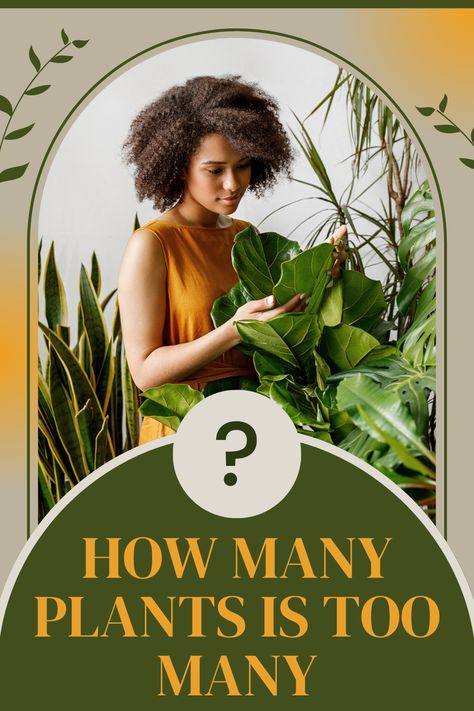 a woman looking through plants Too Many Plants, Garden Planning Layout, Diet Myths, Living Off The Grid, Love Plants, Vertical Gardening, Chinese Evergreen, Space Style, Iron Plant