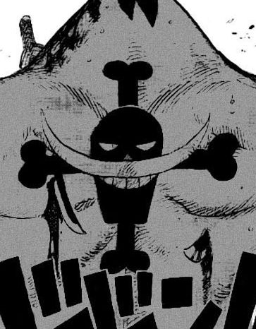 Whitebeards tattoo on ace's back Ace Back Tattoo One Piece, Ace Back Tattoo, Ace Tattoo One Piece, Tattoo Espalda, Ace Tattoo, Ace One Piece, One Piece Tattoos, One Piece Wallpaper Iphone, One Piece Ace