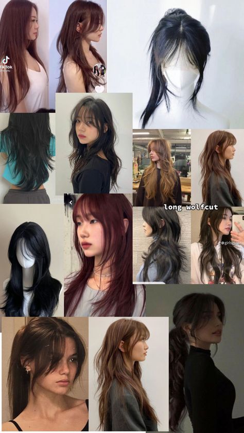 Cut Wolf, Hush Cut, Hair Inspiration Long, Hairstyles For Layered Hair, Wolf Cut, Shot Hair Styles, Haircuts Straight Hair, Long Hair With Bangs, Hair Shows