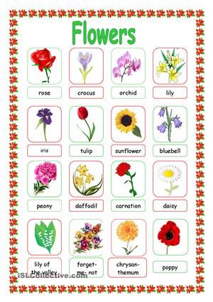 Esl Projects, Flower Dictionary, Flower Puzzles, Flower Sheets, Esl Lesson Plans, Picture Dictionary, Halloween Flowers, English Activities, English Lessons For Kids