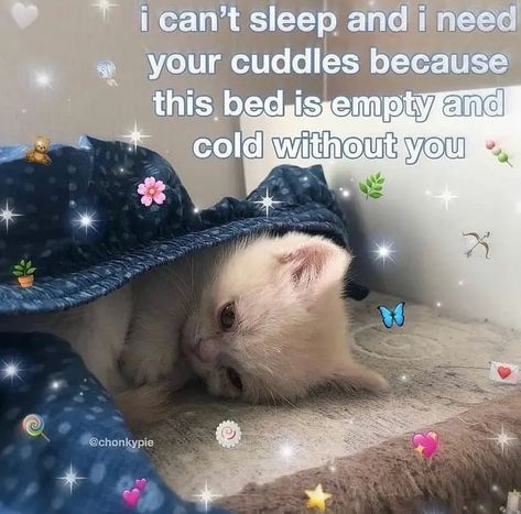 ♡Daily Wholesome Posts♡ on Instagram: “@ them . . . #wholesomememes #wholesome #wholesomememe #wholesomemes #cute #followforfollowback #cutie #relationship #boyfriend…” Cuddling Meme, Need Cuddles, I Need Cuddles, Raven Head, Deep Voice, Memes For Him, Posts On Instagram, I Cant Sleep, Cant Sleep