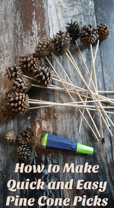 How to Make Quick and Easy Pine Cone Picks • Craft Invaders Budget Farmhouse, Painted Pinecones, Pine Cone Art, Christmas Pine Cones, Diy Pinecone, Rope Decor, Christmas Crafts To Make, Pine Cone Decorations, Cones Crafts