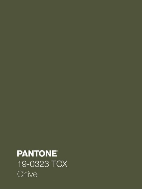 Pantone 2020, Pantone Colour Palettes, Green Paint Colors, Green Colour Palette, Kitchen Cabinet Colors, Kitchen Inspiration Design, Olive Green Color, Italian Wedding, Green Paint