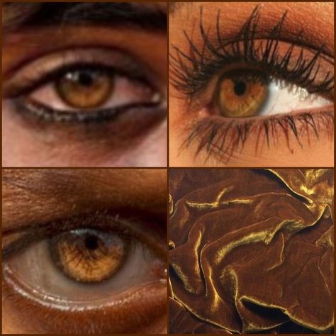 Bronze Eye Color, Copper Eye Color, Amber Eyes Dark Skin, Cognac Eyes Color, Gold Hazel Eyes, Honey Eye Color, Amber Eyes Men, Cognac Eyes, Amber Green Eyes