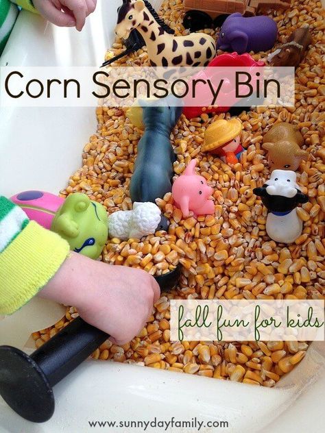 Make a corn sensory bin for a fun farm themed activity for kids! Perfect for Fall. Corn Sensory Bin, Fall Activities For Toddlers, Indoor Toddler Activity, Baby Food Containers, Fall Farm, Farm Preschool, Farm Fun, Farm Activities, Toddler Sensory