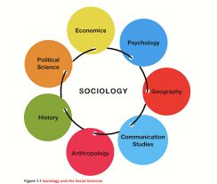 Sociology Art Illustrations, Sociology Major Aesthetic, Sociology Facts, Sociology Pictures, Social Science Aesthetic, Disgustingly Educated, Sociology Aesthetic, Sociology Careers, Sociology A Level