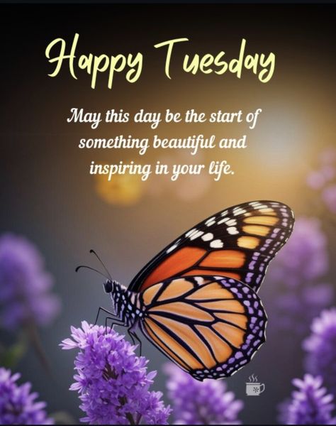 Good Afternoon Tuesday, Happy Tuesday Pictures, Beautiful Morning Pictures, Happy Tuesday Images, Tuesday Pictures, Tuesday Images, Good Morning Tuesday, Good Morning Spiritual Quotes, Good Morning Flowers Pictures