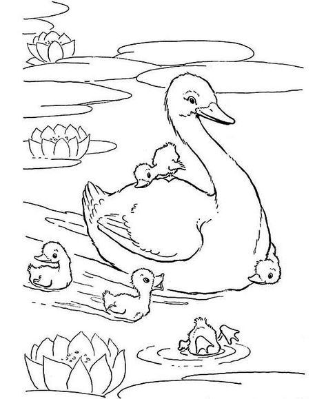 iColor "Little Kids" Mother of Duck and Her Babies Duck Coloring Pages, Mom Coloring Pages, Baby Coloring Pages, Birthday Coloring Pages, Bird Coloring Pages, Princess Coloring Pages, Online Coloring Pages, Amazing Drawings, Cool Coloring Pages