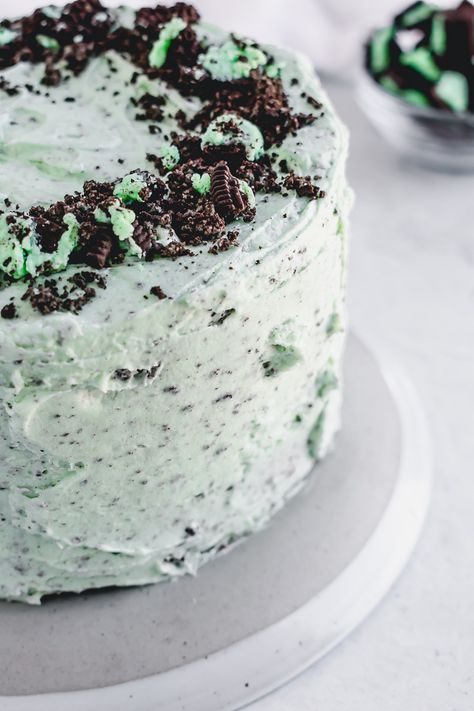 Mint Chocolate Chip Icing, Spring Form Cake Recipes, Mint Oreo Cake, Grasshopper Cake Recipe, Grasshopper Cake, Small Layers, Mint Chocolate Desserts, Dark Chocolate Frosting, Desserts With Chocolate Chips