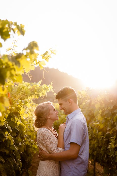 Vineyard Family Photoshoot, Vineyard Engagement Photoshoot, Vineyard Engagement Shoot, Engagement Photos Winery, Vineyard Portraits, Vineyard Proposal, Vineyard Photoshoot, Engagement Photos Winery Vineyard, Vineyard Engagement Photos