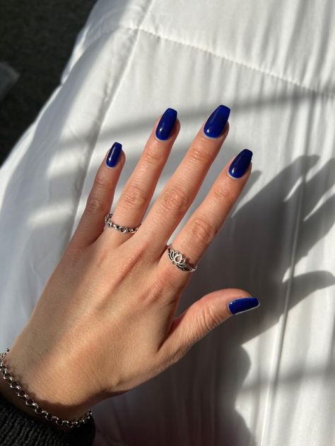 Sun shining on a hand with royal blue nail polish with coffin shaped nails. They are wearing a black sweater and have on a silver bracelet and silver rings Coffin Navy Nails, Royal Blue Nails Aesthetic, What Color Nails Go With Navy Blue Dress, Royal Navy Blue Nails, Nail Inspo For Blue Dress, Classy Navy Blue Nails, Navy Blue Coffin Nail Ideas, Navy Coffin Acrylic Nails, Navy Blue And Light Blue Nails