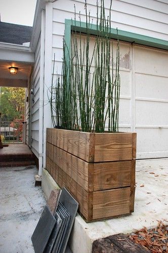 Terrasse Med Tak, Horsetail Reed, Wood Planter Box, Modern Landscaping, Recycled Wood, Planter Boxes, Front Garden, Rustic Diy, Outdoor Projects