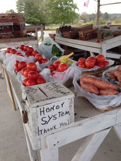 On Hwy 231 south of Oneonta. Best watermelons ever!! Think the proprietor raises everything he sells. Love the honor system because we sometimes go after his working hours! His money box IS bolted to the table!!! But you find all his vegetable and melon offerings sitting out like this. He trusts us to take the sacks and leave his baskets too. Good ole country people. I love 'em--am one myself!!! Farm Market Ideas, Farms Market, Roadside Stand, Farmers Market Stand, Vegetable Market, Country People, Honor System, Produce Stand, Eggs For Sale