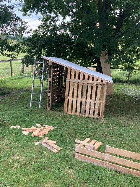 Cheap Goat Pen Ideas, Pallet Goat Pen, Diy Goat Playground, Pallet Goat House, Pallet Goat Shelter, Goat Pen Ideas, Goat Fence, Goat Feeder, Goat Playground