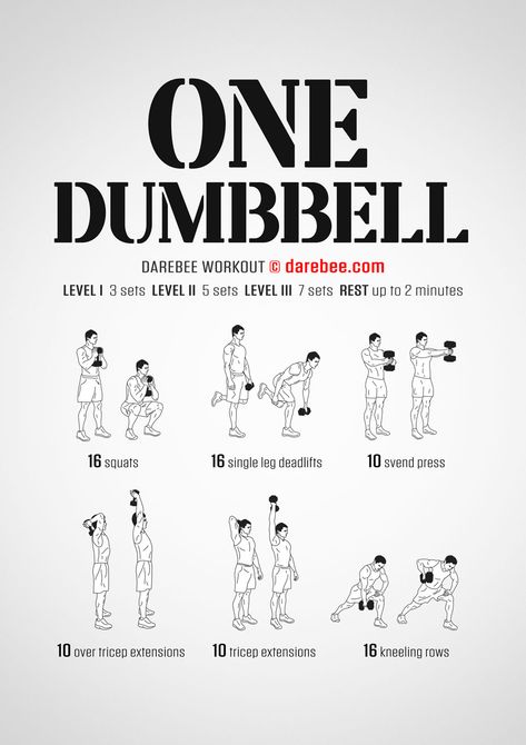 Work Outs With Dumbbells, Exercise With One Dumbbell, Arm Workout With Dumbbells Men, Beginner Workout Dumbell, Single Dumbbell Workout For Men, Single Dumbbell Arm Workout, Dumbbell Hip Workout, Tummy Dumbell Workout, 2kg Dumbbell Workout