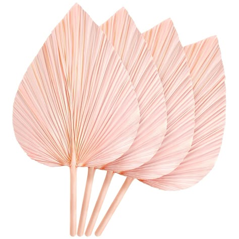 PRICES MAY VARY. Package includes:you will receive 5 pieces large natural boho dried palm spears, providing you with ample quantities for bohemian style home,pampas grass, daily, Christmas and other baby shower party decorations. Practical size: palm leaf decorations are naturally grown after drying, air-drying, line into the natural color, bohemian style palm spear leaf size of about 16 × 4 inches,the right size, light quality, can be easily inserted into the vase for decoration. Natural materi Pink Palm Nursery, Beach Wedding Bouquet Ideas Blush Pink, Elegant Hawaiian Party Decorations, Shake Ya Palm Palms Bachelorette, Desert Bachelorette Party Decorations, Scottsdale Before The Veil Decorations, Boho Style Wedding Decoration, Tropical Flower Arrangements Centerpieces, Simple Beach Wedding Decor