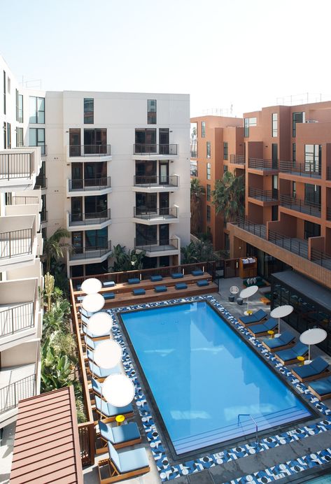 A view of the complex's pool which sits in the center of the shared central space. Pool Apartment, New Luxury Apartment, Rectangle Swimming Pools, Community Clubhouse, Hollywood Apartment, Amenity Space, Pool Clubhouse, Rectangular Swimming Pools, Apartment Pool