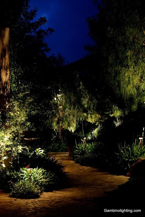 Gambino Landscape Lighting | Path & Step Lighting Garden Illumination, Laurel Hedge, Yard Oasis, Lighting Reference, Driveway Ideas, Landscape Lighting Design, Mood Images, Forest Garden, Garden Lights