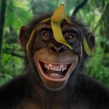 ArtStation - Laughing Monkey Monkey Laughing, Laughing Photo, Monkey Videos, Monkey And Banana, Pet Monkey, Monkeys Funny, Animal Print Fashion, Animal Sketches, Silly Pictures