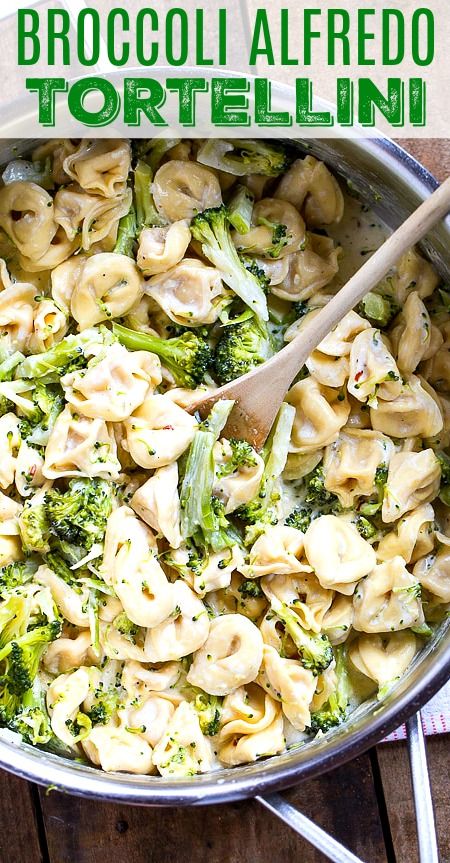 Broccoli Tortellini Recipes, Tortellini Broccoli Recipes, Healthy Tortellini Recipes, Tortellini Broccoli, Broccoli Tortellini, Alfredo Tortellini, Tortellini Alfredo, Tortellini Recipe, Spicy Southern Kitchen