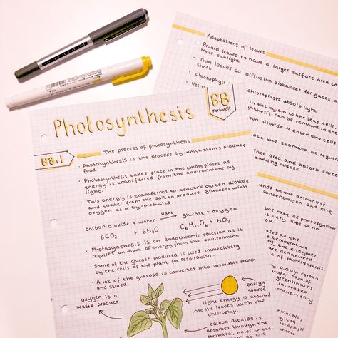 Aesthetic Photosynthesis Notes, Photosynthesis Notes Aesthetic, Photosynthesis Notes, Aesthetic Notes Ideas, Gcse Notes, Vintage Photo Editing, Notes Aesthetic, Study Related, Aesthetic Notes