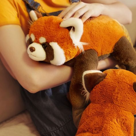 Rusty, the large Red Panda plush, is here to guard your room with charm and warmth in these windy days. #popchiu #plushiesofinstagram #redpanda #stuffedanimals #plush #hug #hugtoy #plushies #stuffedtoy Red Panda Stuffed Animal, Red Panda Plush, Panda Stuffed Animal, Big Doll, Panda Plush, Plushies Cute, Cartoon Panda, Red Pandas, Red Panda