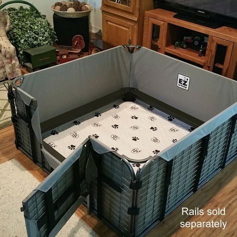 Whelping Box Ideas, Welping Box, Puppy Whelping, Dog Breeding Kennels, Dog Whelping Box, Whelping Puppies, Dog Luxury, Image Dog, Puppy Nursery